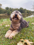 Build Your Pup + Me Matching Set