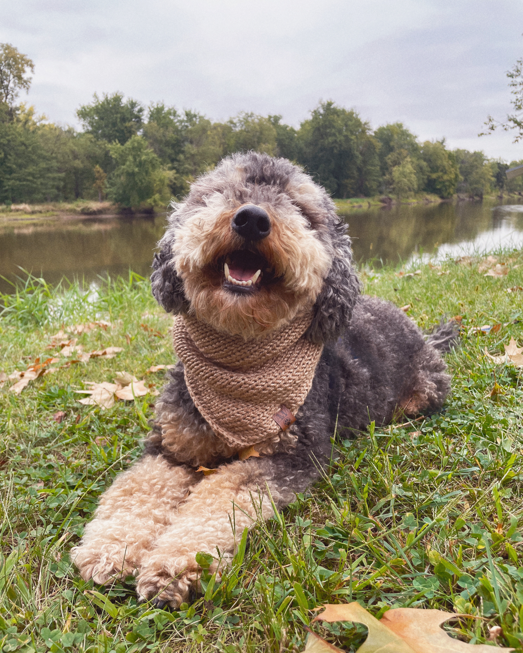 Knitted Dog Bandana