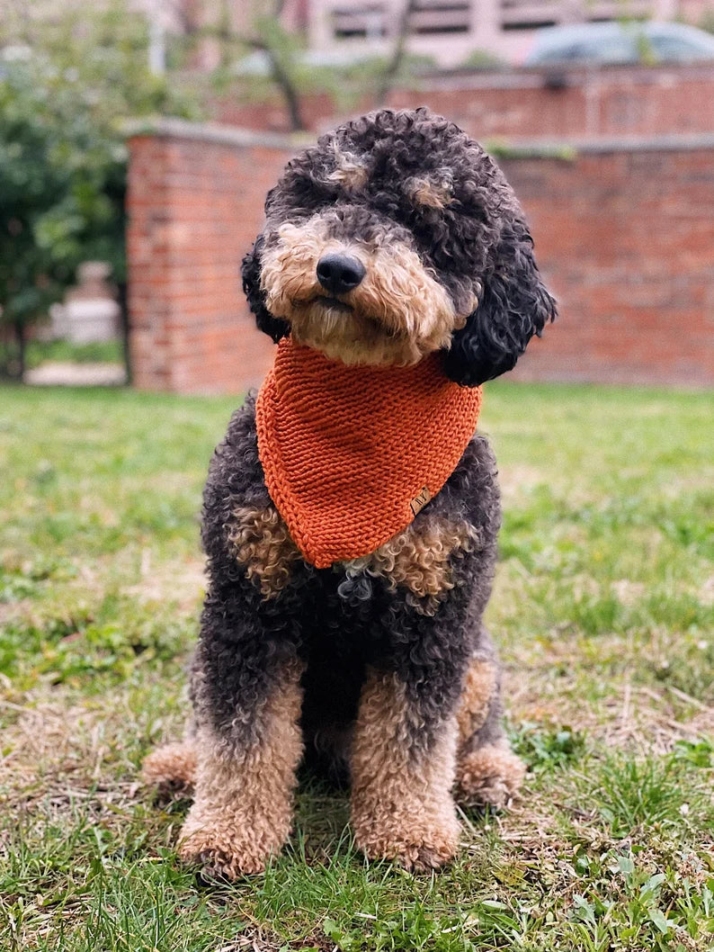 Knitted Dog Bandana